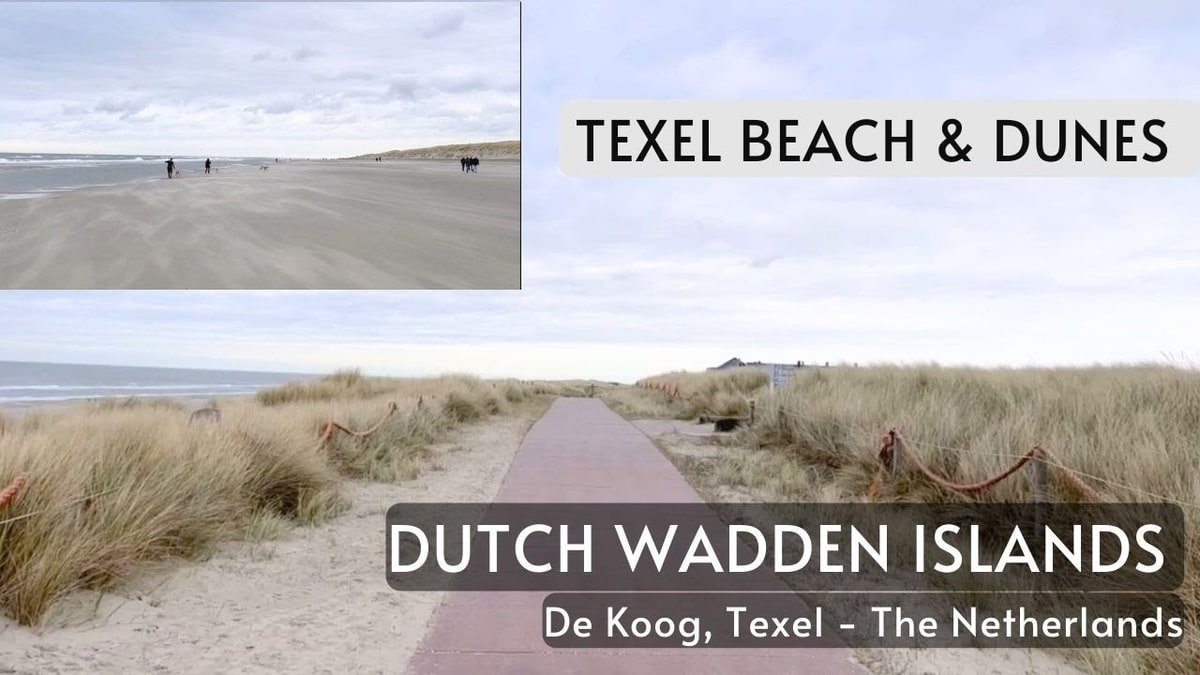Best Beaches in the Netherlands Netherlands beach view