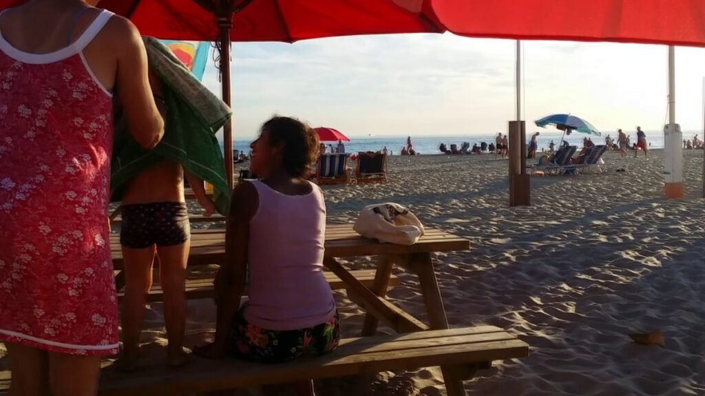 The Dutch North Sea Coast: A 450-Kilometer Guide From Texel to Zeeland Netherlands beach view